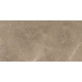 Elegant Taupe 30x60cm 